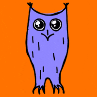 Head Owl GIF by Kochstrasse™