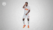 Football Sport GIF by FC Red Bull Salzburg