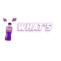 riseenergypop rise grape grapes whatspoppin Sticker