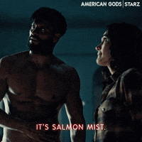 Ricky Whittle Starz GIF by American Gods
