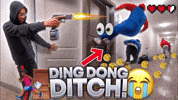 Ding Dong Ditch GIF