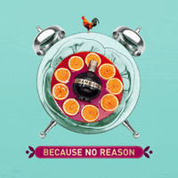 chambord cocktails GIF