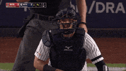 Jomboy  GIF