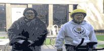 bbuk big brother reality tv cbb celebrity big brother GIF