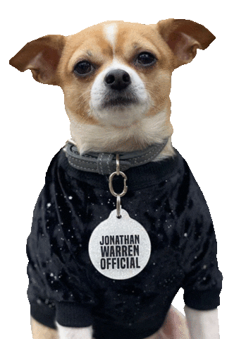 Rescue Dog Sticker