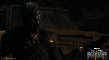 Black Panther GIF by Marvel Studios