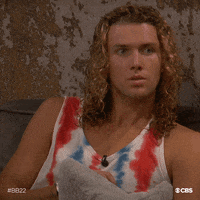 Bb22 GIF by Big Brother