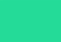 loop summer GIF by The Rocket Panda