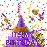 Happy Birthday Pomeranian Sticker by Pimp Yo Pets