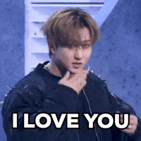 I Love You Stray Kids GIF