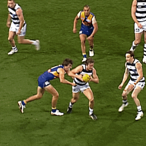 GIF by AFL