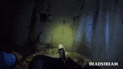 Soothing Kick It GIF by Deadstream