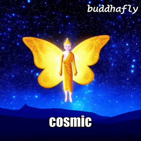 Awakening GIF by BuddhaFlyJourney