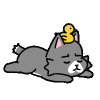 Cat No Sticker by Ai and Aiko