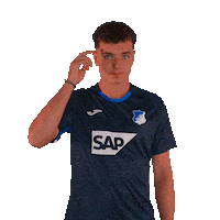 Sport Bundesliga Sticker by TSG Hoffenheim