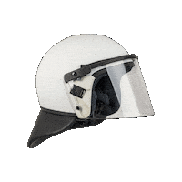 Ee Tilty Sticker by Polizei Österreich