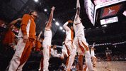 Hook Em GIF by Texas Longhorns