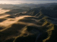 Bangladesh Airtel GIF