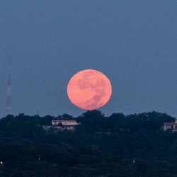 Full Moon Texas GIF