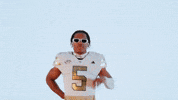 Georgia Tech Football Sport GIF by Georgia Tech Yellow Jackets