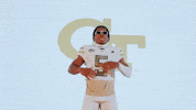 Georgia Tech Football Sport GIF by Georgia Tech Yellow Jackets