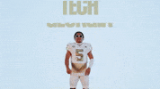 Georgia Tech Football Sport GIF by Georgia Tech Yellow Jackets