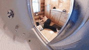 StophouseMusicGroup prof profgampo gampo stophouse GIF