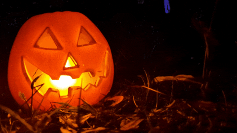 jasonburglar giphygifmaker halloween spooky pumpkin GIF