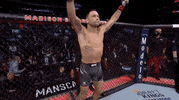 Sport Mma GIF by UFC