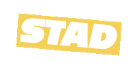 stadhaarlem leiden stad stichting stichtingstad Sticker