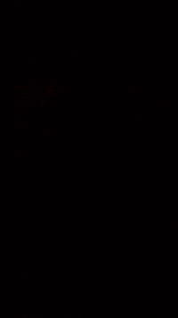 Celiin music red horror scary GIF