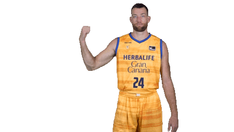 Liga Endesa Basketball Sticker by ACB