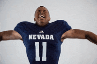 NevadaWolfPack football nevada wolf pack nevada wolf pack GIF