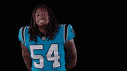 National Football League GIF by Carolina Panthers