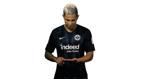 Eintracht Frankfurt Reaction Sticker by Bundesliga