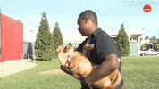 Puppies National Puppy Day GIF by BuzzFeed