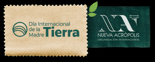 Nuevaacropolis GIF by Nova Acrópole Brasil