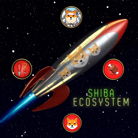 Shiba Inu GIF by SHIB MEMES