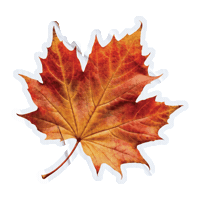 Autumn Leaves Fall Sticker by thisandco