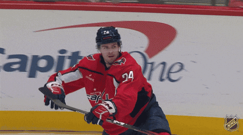 Happy National Hockey League GIF by NHL