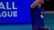 France Yes GIF by Volleyball World