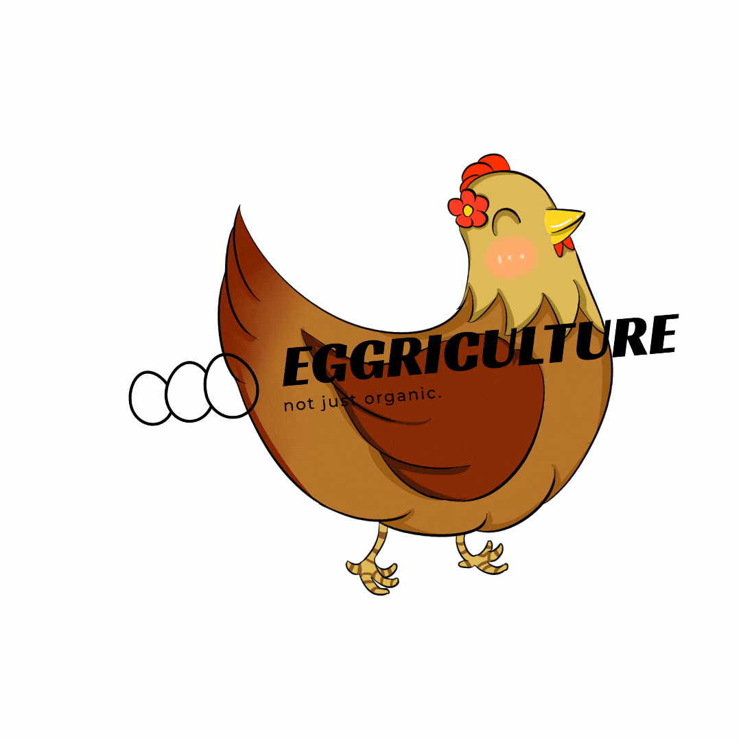 eggriculture giphyupload egg eggs eggriculture GIF