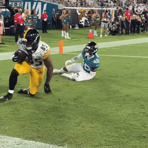 Celebration Nfl GIF by Pittsburgh Steelers