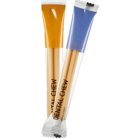 arrr_official giphyupload 아르르 덴탈츄 Sticker