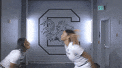 harris wbb19 GIF by gamecocksonline