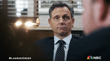 Season 24 Nbc GIF by Law & Order