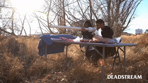 Blue Jays Friends GIF by Deadstream