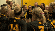 Iowa Hawkeyes Volleyball GIF by University of Iowa Hawkeyes Athletics