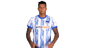 Come On Wtf Sticker by Bundesliga