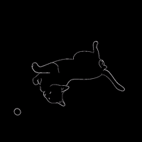 hollychenccb8 hyun GIF